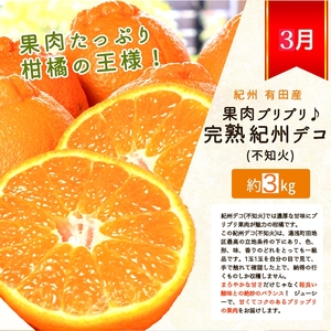 〈定期便〉【2・3・12月 全3回】紀州和歌山産旬のフルーツセット(まりひめ・紀州デコ・有田みかん) ｜ フルーツ