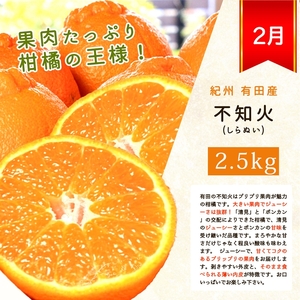 〈定期便〉【1・2・3・4月 全4回】紀州和歌山産旬の柑橘セット(みかん・不知火・せとか・清見) | フルーツ セット