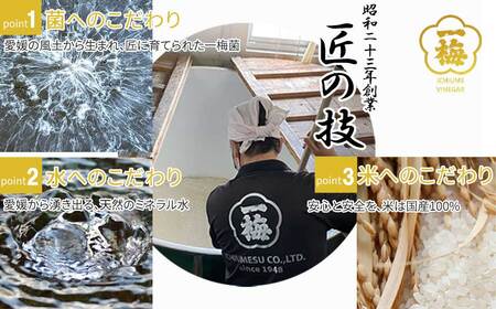 四国の逸品 からだおもいの飲むお酢 飲み比べ 2種 200ml×2本 セット （はちみつ梅酢 瀬戸内レモン黒酢） お酢ドリンク  【一梅酢】