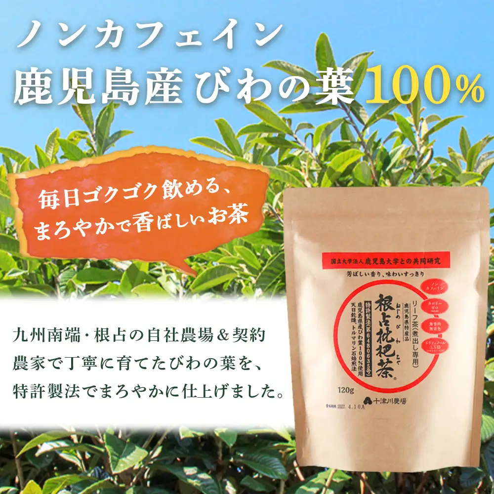 根占枇杷茶 茶葉  1袋（120g入）煮出し用 TO-17-NP | ねじめ びわ茶 国産 使い切り トルマリン石 焙煎 健康茶 お茶 煮だし 飲みやすい 香ばしい おいしい びわの葉 ネコポス 鹿児島県 南大隅町 十津川農場