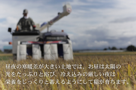 【先行予約】≪令和8年産≫ ななつぼし 10kg 北海道産 ななつぼし [030-106]