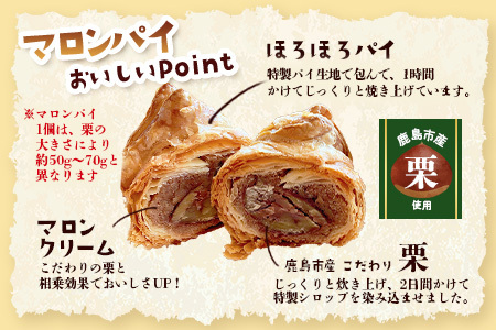 地元の栗を使用 職人の作る特別なマロンパイ 5個入り　匠の技 老舗菓子店ひのでや手作りスイーツ マロンパイ パイ 栗 くり おやつ お土産 プレゼント バレンタイン ホワイトデー 佐賀県 鹿島市 話題 人気 送料無料　B-877