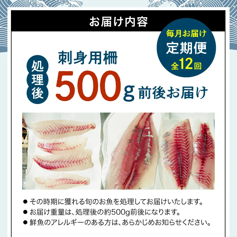 S121-T05_【全12回　連続 指定日必須】 お刺身用柵定期便