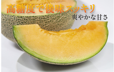 タカミレッドメロン 2玉 メロン