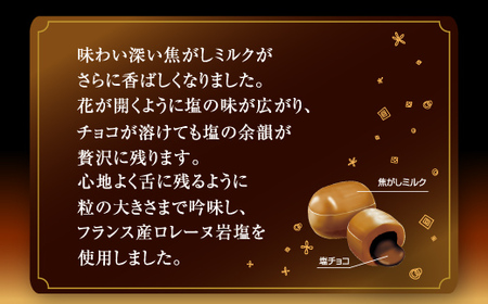 UHA味覚糖 塩の花 焦がしミルクと塩チョコ 6パック入り キャンディ お菓子 あめ アメ飴 菓子 食品 F25R-145