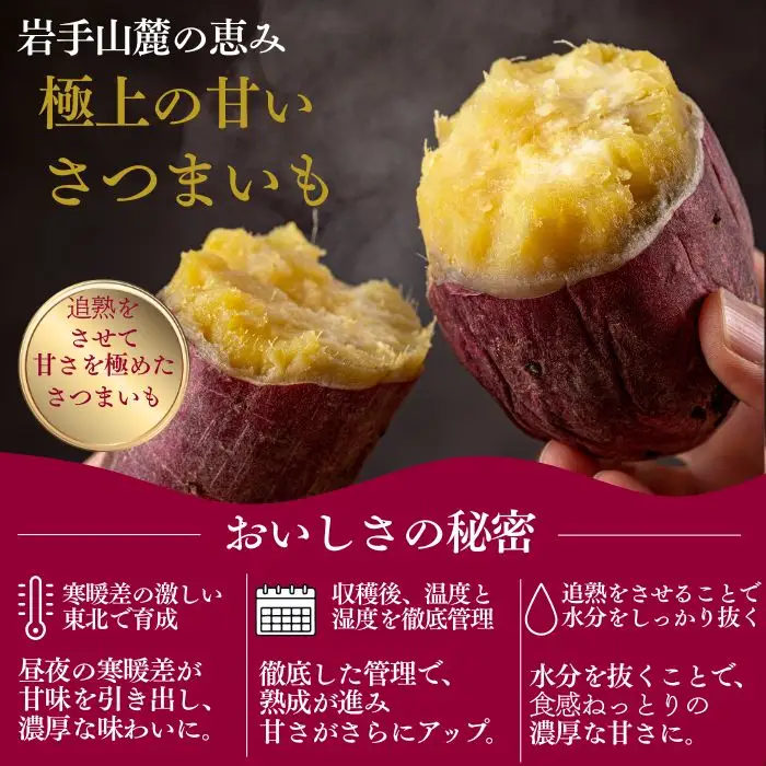 【 先行予約 10月 発送】 さつまいも 紅はるか 5kg 【駿河農園ベジスル】 サツマイモ さつま芋 薩摩芋 5キロ ５キロ ５ｋｇ 5000g M L LL 3L やさい 野菜 冬野菜 秋野菜 風物詩 定番 旬 焼き芋 やきいも 焼芋 いも 芋 イモ おいも おやつ 人気 美味しい 甘い 国産 岩手県産 産地直送 予約 おすすめ オススメ