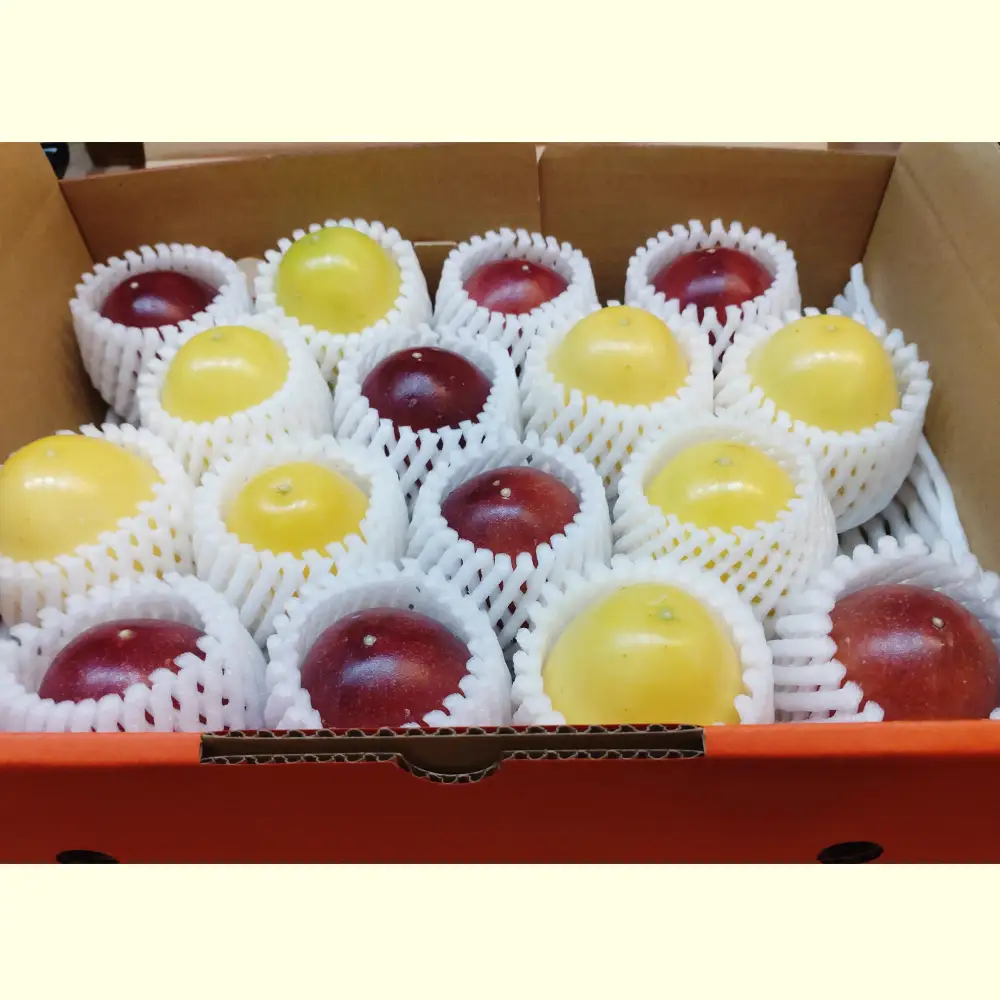 【2026年発送】沖縄からの贈り物　美らパッションの宝石箱1kg