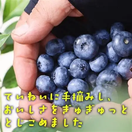 【山の恵みぎゅっと!】手摘みブルーベリージュース　720ml 【2本セット】【1676091】