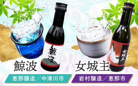 日本酒 飲み比べセット【東濃5銘酒地酒セット(180mlｘ5本)】[AZDG001] 日本酒