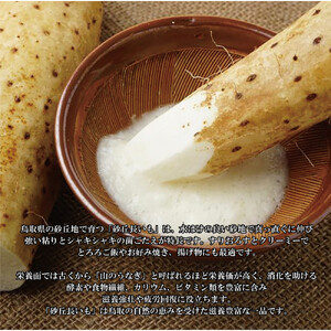 1113.砂丘ながいも1.8kg