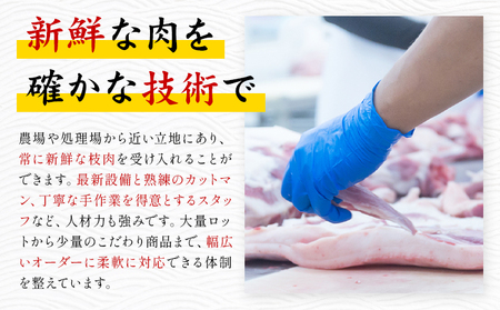 おつまみ セット 株式会社共同 熊本ミートセンター ソーセージ ウィンナー《30日以内に出荷予定(土日祝除く)》 ベーコン スモーク チキン 燻製 肉 お肉 晩酌 ツマミ おかず 熊本県 菊池市