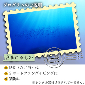 徳島最南端の海でファンダイビング！