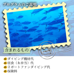 水着1つでお越しください！徳島最南端の海でファンダイビング！
