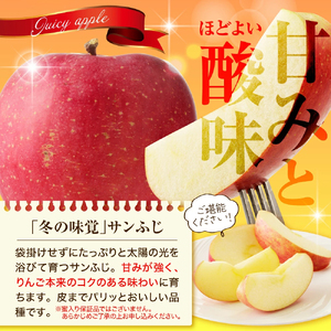 りんご （ サンふじ ）  5kg 山形 果物 フルーツ 08-40-002