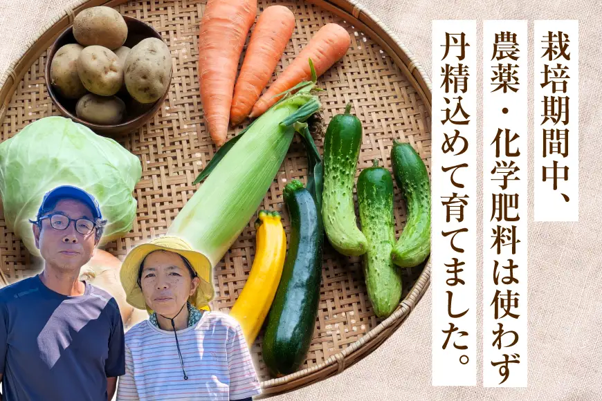 旬 ココニコ おまかせ 野菜セット 6～8品 [ココニコヒロバ 愛知県 江南市 ko23btu710000]