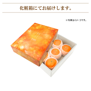 【2026年11月中旬頃から発送予定】愛果28号 (紅まどんな と同品種)  秀品 約1.5kg (贈答用化粧箱入り)  | 紅まどんな と同品種 あいか28号 みかん 蜜柑 mikan 檸檬 オレンジ 紅マドンナ と同品種 おれんじ かんきつ 愛媛県 松山市 ココオ Koko'o 【KK332】