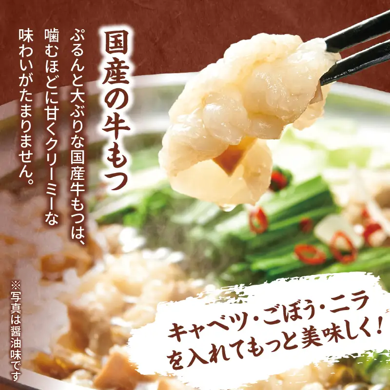 博多もつ鍋やまや もつ鍋セット こく味噌味(1～2人前) もつ鍋 国産 牛もつ モツ 博多 やまや スープ付き 麺付き 冷凍 福岡県 八女市 198-016