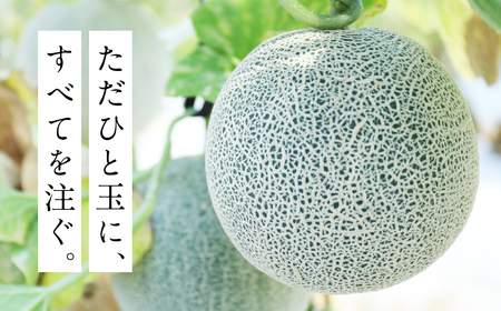 藤原農園　アールスメロン　３玉
