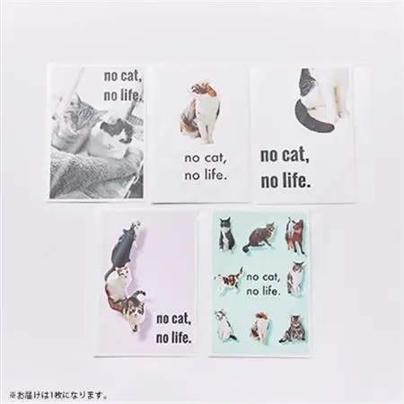 保護猫へのご支援のためのお礼品【保護猫ルームえびす】手作りトートバッグとポストカードセット【1647213】