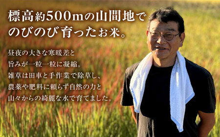 お米 令和7年産 米 5kg 黒川つばくろ農園[AWCB001]