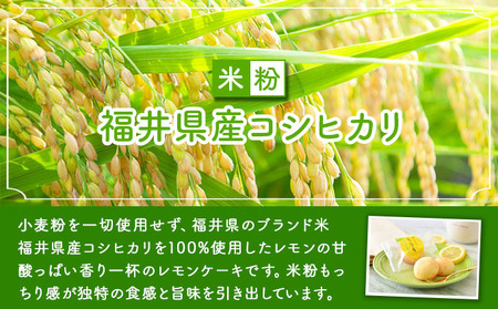 [009-a019] 幸せの小さな レモンケーキ 10個