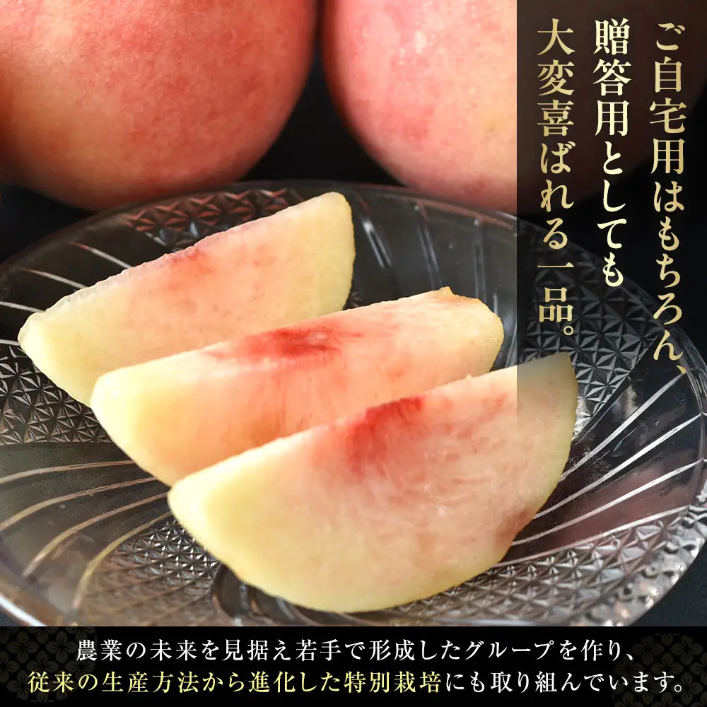 ［2026年発送分］［桃！数量限定先行予約！］川中島白桃 約2kg 6個入 100個に1個の厳選品 こだわり農家厳選！［KG33］
