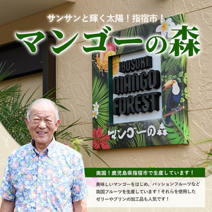【2026年 発送】【訳あり】しあわせ完熟マンゴー 約800g(マンゴーの森/IB040-015)  2玉 ～ 3玉 国産 南国 指宿産 鹿児島 アップルマンゴー マンゴー 果物 くだもの フルーツ 完熟 産地直送 お取り寄せ