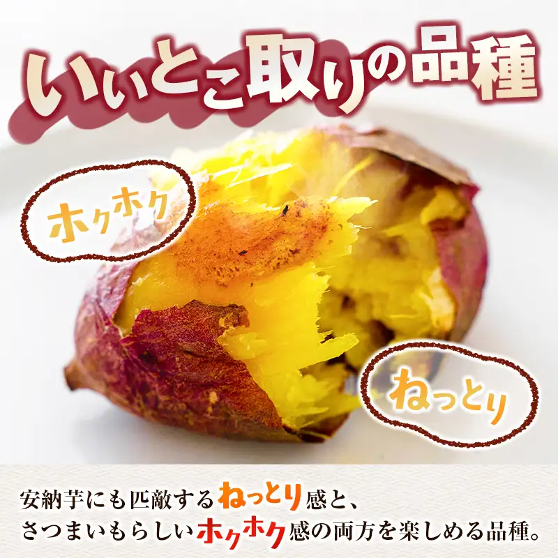 ＜定期便＞6回お届け！長期熟成 紅はるか 計6kg（1kg×6回）宮崎県都城市産 さつまいも サツマイモ
