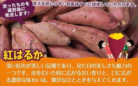 【熟成芋】芋名人が認めるさつまいも『洗い済み　紅はるか』3kg MS～2Lミックス ※12月～1月頃順次発送_LD-L704-J_(都城市) 宮崎県都城産 紅はるか MS～2Lミックス