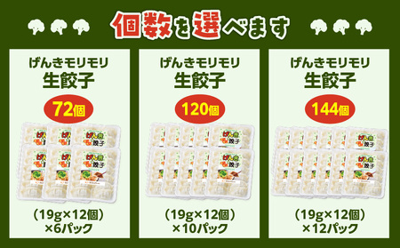 げんきモリモリ 生餃子 120個 K027-010_02 肉 豚肉 惣菜 総菜 冷凍