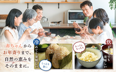 【2025年産】北海道産 特別栽培米 ゆめぴりか 玄米 10kg（無化学肥料・農薬不使用）【25140】