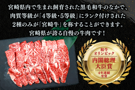 牛肉 宮崎牛 カルビ 焼肉 500g 2p 計 1kg [YAMATO 宮崎県 日向市 452061441]
