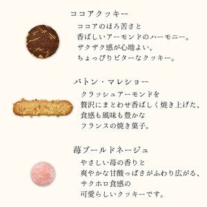 銀河クッキー 詰め合わせ ガールズ缶 9種の焼き菓子詰合せ　お菓子 おやつ 焼菓子 クッキー  