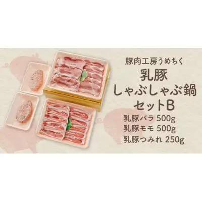 Z04-05 寄附額改定↓↓ 乳豚しゃぶしゃぶ鍋Ｂセット(バラ・モモ・つみれ) 豚肉