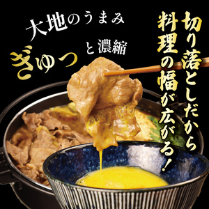 【6回定期便 】 牛肉 切り落とし 新発田牛 計6kg 切り落とし enomoto030
