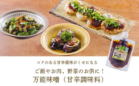 《ふるさとの高原の味》霧島の恵み！ごちそううどんセット[釜揚げうどん 万能味噌 ヒノヒカリ 鶏炭火焼 特産品詰合せ セット おかず おつまみ 贈り物 ギフト ワンストップオンライン 10000円以下] TF0858-P00008