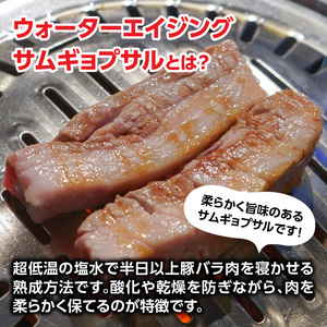 ウォーターエイジングサムギョプサル店ナンマンゴギお食事券10,000円分 0165-004-S07