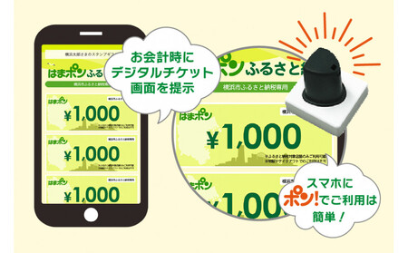 はまポンふるさと納税チケット9000円分（1000円×9枚） AJV0010