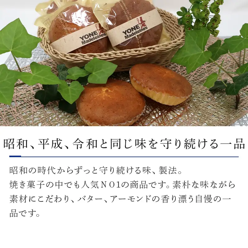 マドレーヌ 10個入り バター・アーモンドの香り漂う焼き菓子 焼き菓子