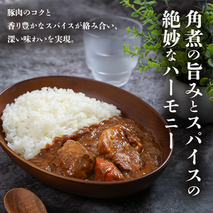 北海道発 豚角煮カレー 250g 10個セットen01-00234