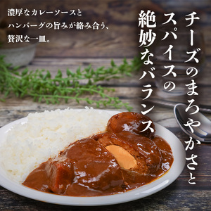 北海道発チーズインハンバーグカレー 300g 10個セットen01-00236