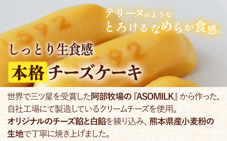 濃厚生チーズケーキ 1592 ヒゴクニ 10個入り 古今堂 《30日以内に出荷予定(土日祝除く)》 熊本県 南阿蘇村 チーズケーキ チーズ ひごくに お菓子 スイーツ
