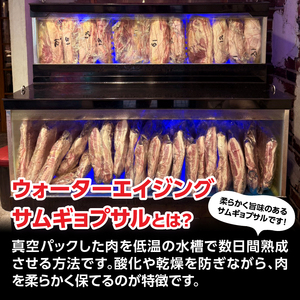 ウォーターエイジングサムギョプサル店ナンマンゴギお食事券50,000円分 0165-006-S07