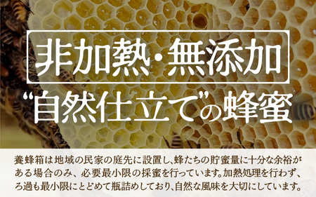 【定期便】 ニホンミツバチのはちみつ 300g×6回 | 蜂蜜 はちみつ ハチミツ 百花蜜