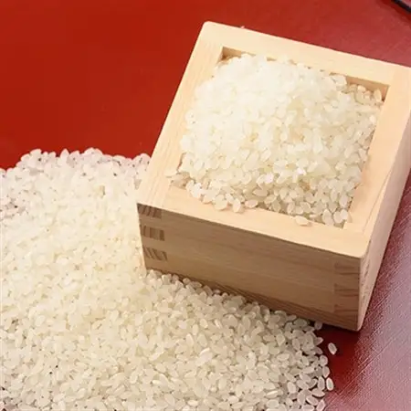【令和7年産】特別栽培雪若丸　精米 5kg【1676081】