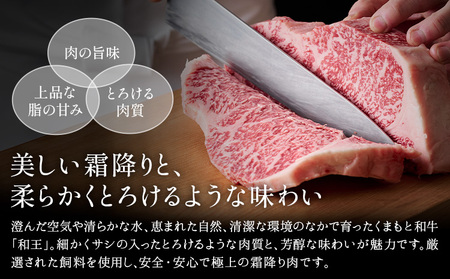 熊本県産A5等級和王 赤身ブロック 500g 帝神志方ミート株式会社《90日以内に出荷予定(土日祝除く)》熊本県 菊池市 牛肉 肉 お肉 和牛 くまもと黒毛和牛 熊本県産 A5 和王 赤身 赤身肉 ブロック肉