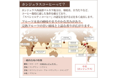 《定期便10ヶ月》コーヒー豆 自家焙煎 ホンジュラス スペシャルティコーヒー 焙煎豆 200g×1パック 豆のまま【アンバー】
