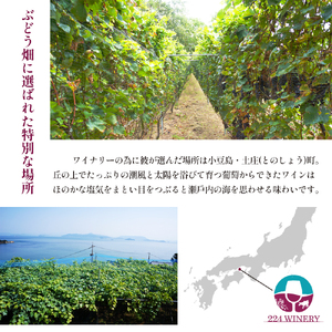 島醸造 木樽熟成メルロー 2024 720ml 小豆島醸造 赤ワイン 日本ワイン 化粧箱入り お酒 酒 ワイン 熟成 贈り物 ギフト 国産 香川 香川県 土庄 土庄町