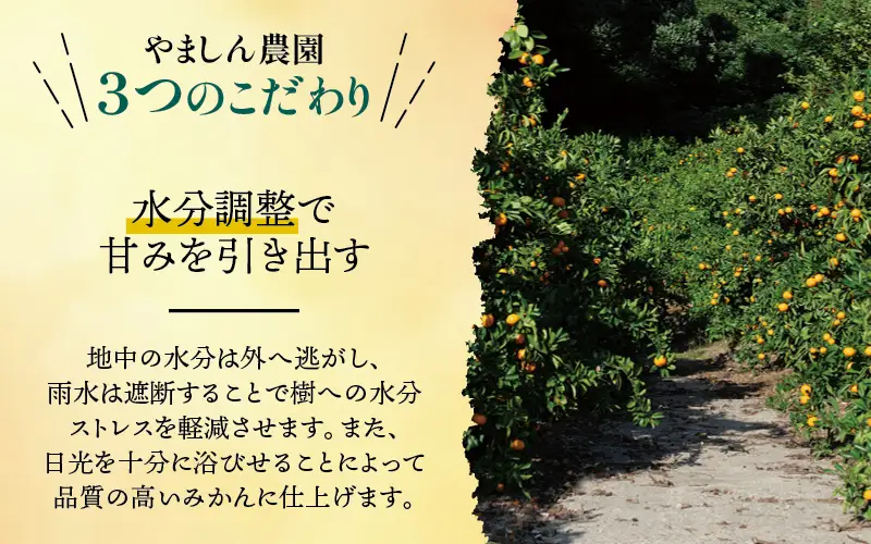 有田 みかん 訳あり 4kg 光センサー 選別 / 温州みかん 有田みかん 甘い 家庭用 和歌山 柑橘 ※2026年11月順次発送 ※北海道・沖縄・離島への配送不可【nuk004-c-4-novH】