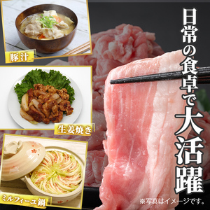 K-618-D 鹿児島県産豚切り落とし 真空パック250g×20P(計5kg)【ハピネス】霧島市 肉 豚肉 豚 精肉 鹿児島県産 切り落とし セット 小分け 冷凍